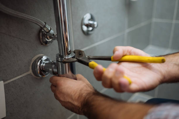 Best Faucet Repair  in Tanglewilde, WA